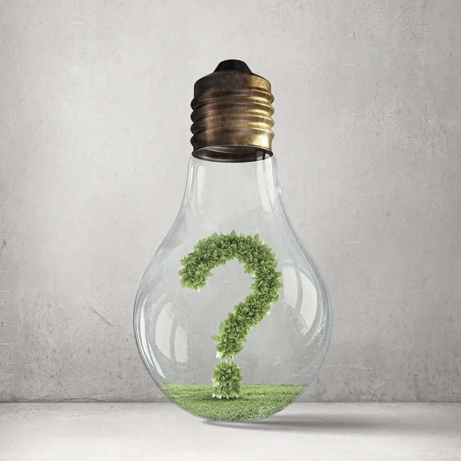 Green question mark inside a light bulb